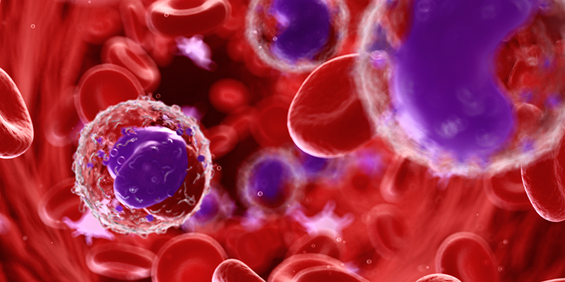 Лимфоциты.jpg Лимфоциты, фото